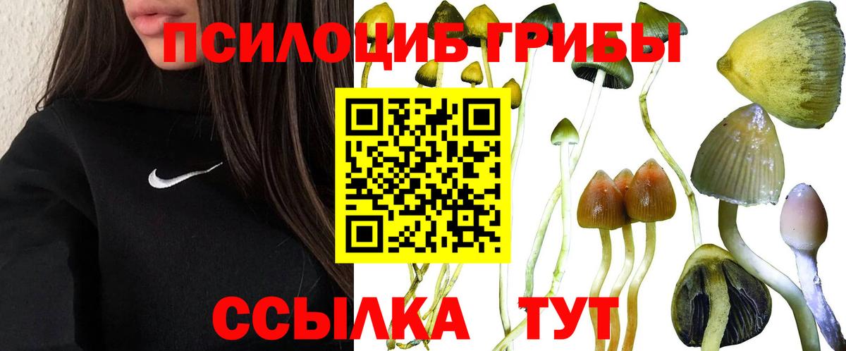 Скопин  Галлюциногенные грибы Psilocybe  дарнет шоп  Вход с VPN  Псилоцибиновые грибы мухоморы 