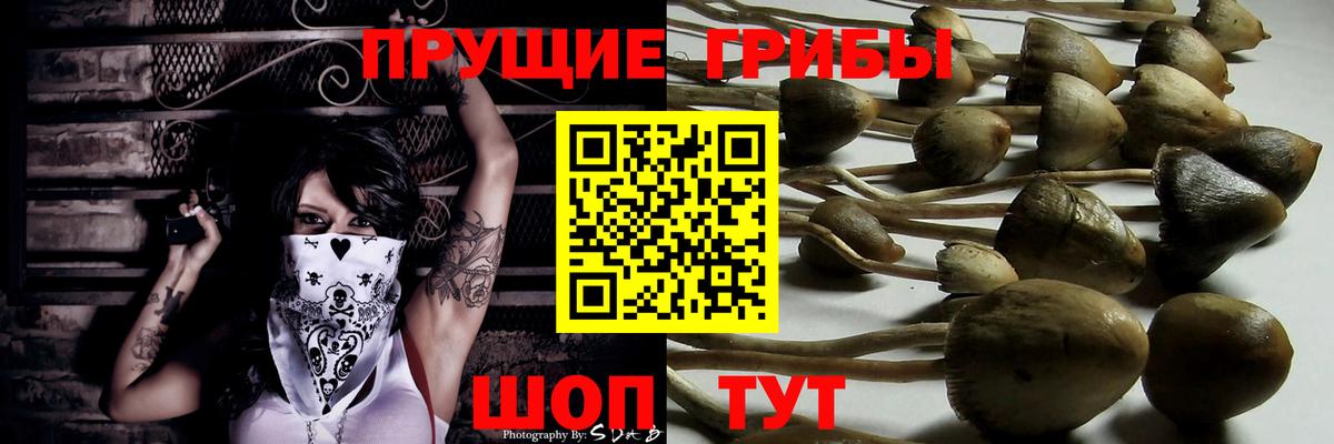 Псилоцибиновые грибы прущие грибы Скопин